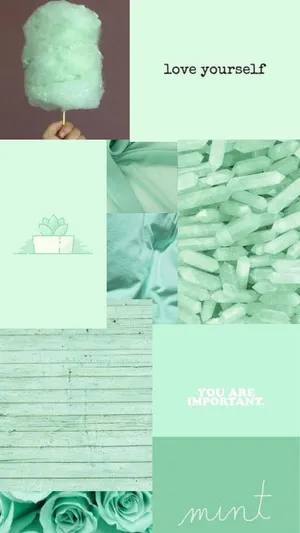 A Collage Of Mint Green And Pink Wallpaper