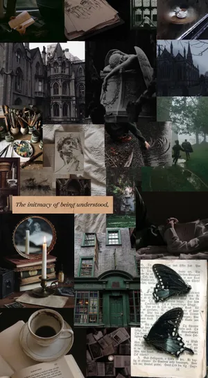 A Collage Of Pictures Of Books, Butterflies And Butterflies Wallpaper