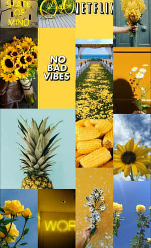 A Collage Of Pictures With Sunflowers And Flowers Wallpaper