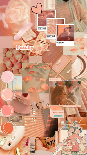 A Collage Of Pink And White Items Wallpaper