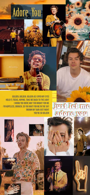 A Collage Of The Singer Harry Styles Wallpaper