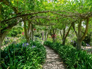 A Colorful Abstract Painting Featuring Curved Lines In Bright Shades Of Blue, Yellow, And Red Wallpaper