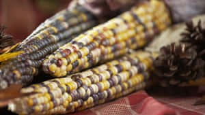 A Colorful Array Of Autumn Harvest Displayed On A Wooden Table Wallpaper