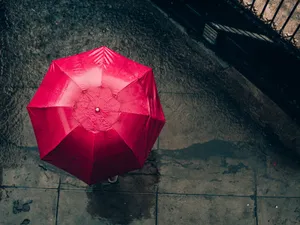 A Colorful Array Of Vibrant Butterflies Decorate A Field Of Wildflowers Wallpaper