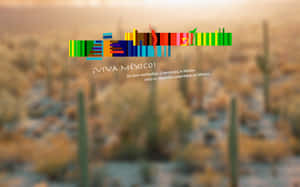 A Colorful Background With Cactus And A Sign Wallpaper