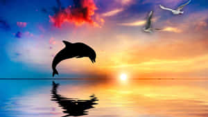 A Cool Dolphin Dives Through Water Under The Sun Wallpaper