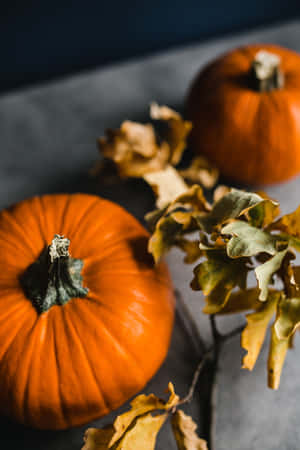 A Cozy Autumn Food Spread With Warm Drinks And Seasonal Treats Wallpaper