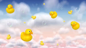 A Cute Duck Enjoying A Sunny Day Wallpaper