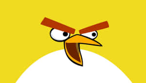 A Cute Kawaii Bird Illustration In A Minimalist Style Wallpaper