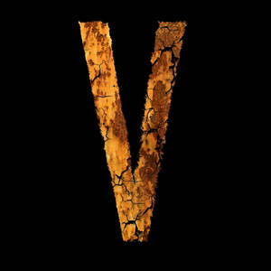 A Damaged Wooden Letter V In Nature Wallpaper