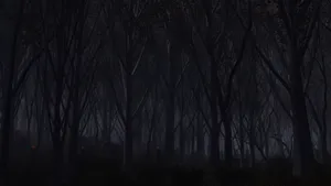 A Dark Forest With Trees And A Lamp Wallpaper