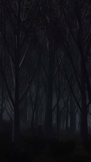 A Dark Forest With Trees And A Lamp Wallpaper