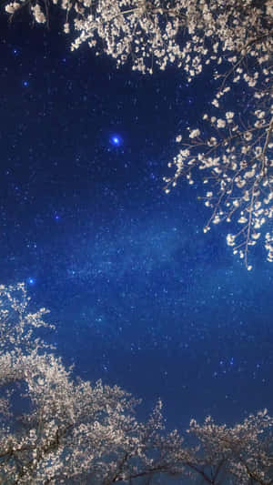 A Dazzling Expanse Of Lights In The Night Sky Wallpaper