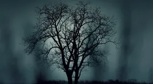 A Deep Venture Into The Mysterious Forest Wallpaper