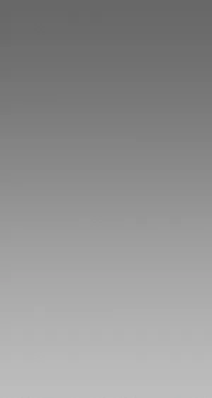 A Delicate Light Gray Backdrop For A Modern, Minimalistic Look. Wallpaper