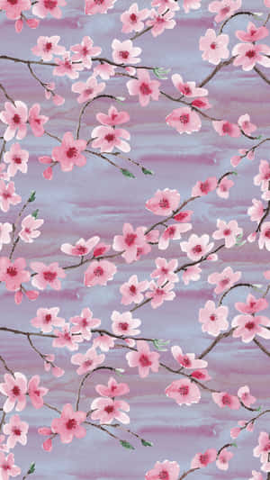 A Delicate Pink Cherry Blossom Filled With Romance. Wallpaper