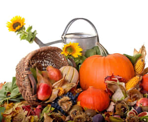 A Delicious Spread Of Winter Food On A Rustic Table Wallpaper