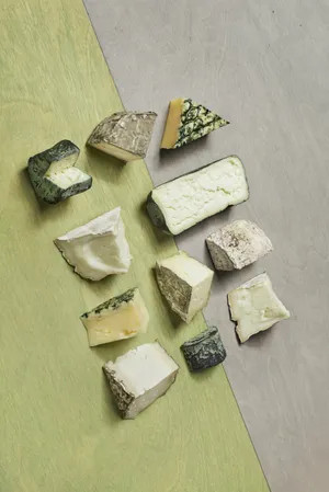 A Delicious Wedge Of Blue Cheese Wallpaper