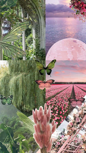 A Delightful Mix Of Pink And Green Together For The Perfect Aesthetic Wallpaper