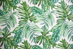 A Desktop Background Of Tropical Leaves Wallpaper