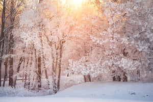 A Digital View Of A Vibrant Sunlit Valley Wallpaper