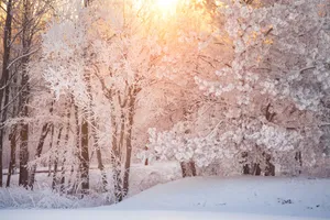 A Digital View Of A Vibrant Sunlit Valley Wallpaper