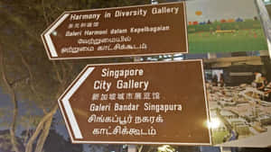 A Diverse Group Of Colleagues Working In A Modern, Bright Coworking Office Space. Wallpaper