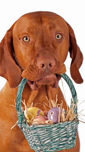 A Dog Holding A Basket Of Easter Eggs Wallpaper