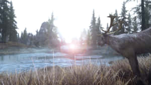 A Dramatic View Of The Beautiful Skyrim Landscape Wallpaper