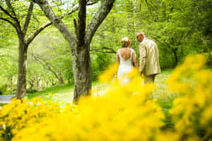 A Dreamy Garden Wedding Wallpaper