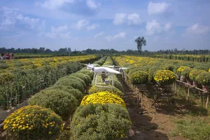 A Drone Flying Over A Field Of Yellow Flowers Wallpaper