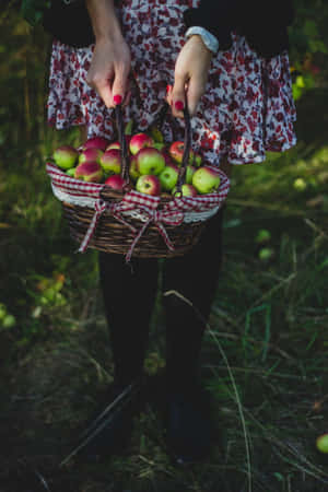 A Family Enjoying A Sunny Day While Picking Apples At An Orchard Wallpaper