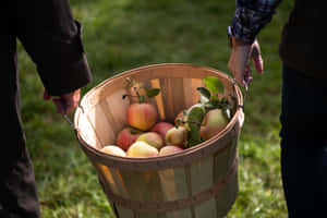 A Family Enjoying Apple Picking At A Lush Orchard Wallpaper