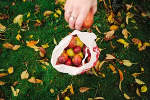 A Family Enjoying Apple Picking At A Lush Orchard Wallpaper