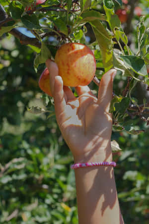 A Family Enjoying Apple Picking At A Picturesque Orchard Wallpaper