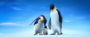 A Family Of Penguins Standing On The Snow Wallpaper