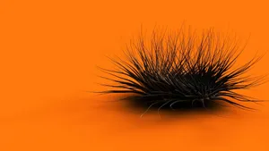 A Fantastic View Of The Warmest Orange Desktop Wallpaper