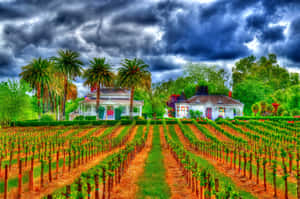 A Farmer Working Their Field To Reap A Harvest Of Abundance Wallpaper