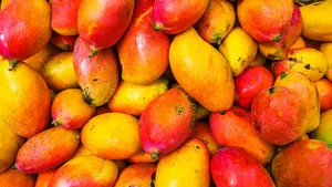 A Feast Of Nutritious Red Fruits In A Rustic Setting Wallpaper