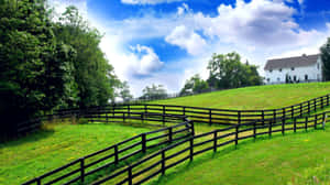 A Fence With Black Bars Wallpaper