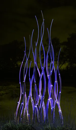 A Field Of Bluegrass In Its Natural Habitat Wallpaper