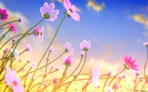 A Field Of Pink Flowers With A Blue Sky Wallpaper