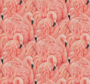 A Flock Of Pink Flamingos Gathered At The Water's Edge Wallpaper