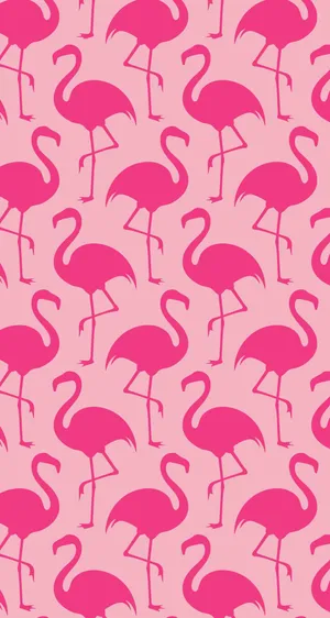 A Flock Of Pink Flamingos In Serene Waters Wallpaper