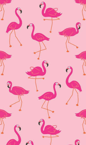 A Flock Of Vibrant Pink Flamingos Wallpaper