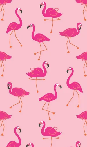 A Flock Of Vibrant Pink Flamingos Wallpaper