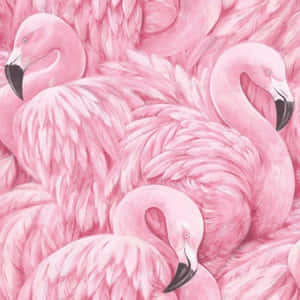 A Flock Of Vibrant Pink Flamingos Wallpaper
