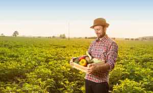 A Flourishing Organic Farm With Fresh Crops And A Wind Turbine In The Background. Wallpaper