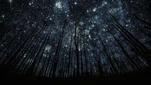 A Forest With Stars In The Sky Wallpaper