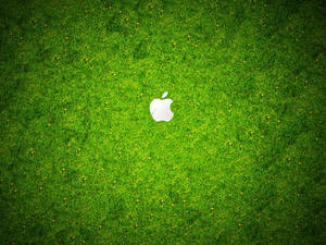 A Fresh Apple Logo On The Soft Grass Wallpaper